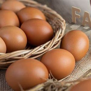 Eco Fresh Organic Eggs (10Nos)